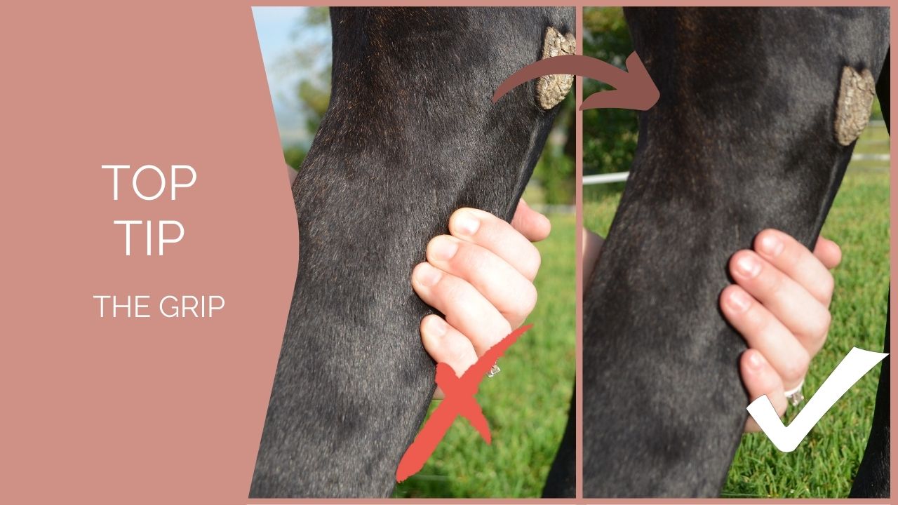 The 5 Rules to Stretching a Horse Effectively - So many of us stretch our horses, stretches learnt on our journey but do we really know the basics behind stretching. The fundamentals that ensure an effective stretch and the essentials that ensure you do not hurt your horse or yourself. The 5 rules to stretching a horse effectively, analyses some of these.